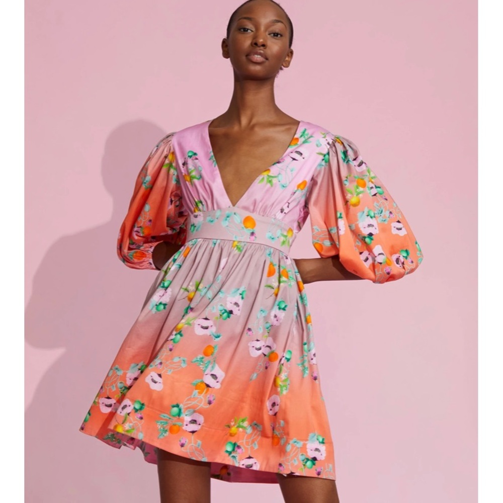 Cynthia Rowley - Ombré Flroal Mini Dress